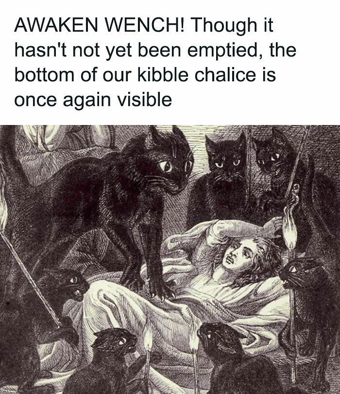 “Medieval Cats”: 57 Photos Proving That Humans Have Always Been Obsessed With Cats