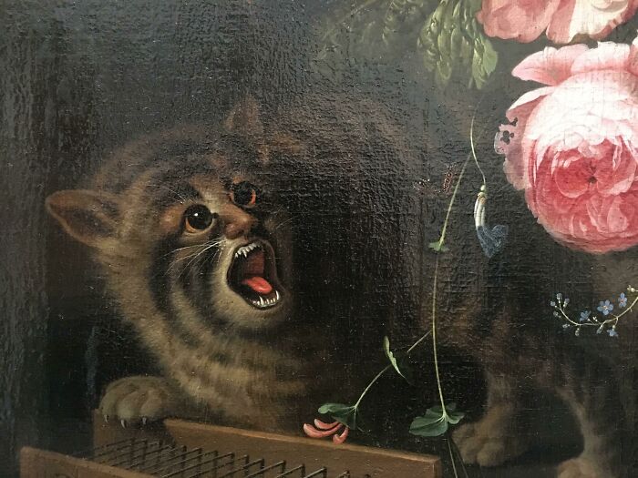 “Medieval Cats”: 57 Photos Proving That Humans Have Always Been Obsessed With Cats