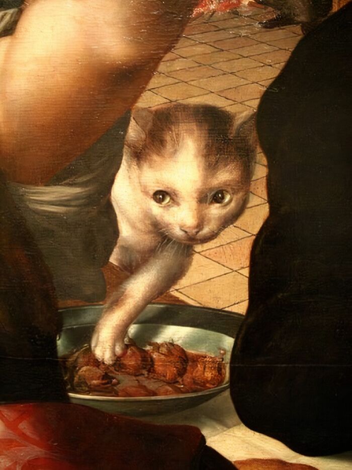 “Medieval Cats”: 57 Photos Proving That Humans Have Always Been Obsessed With Cats