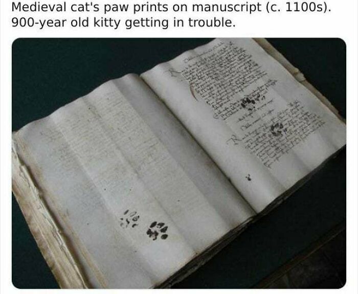 “Medieval Cats”: 57 Photos Proving That Humans Have Always Been Obsessed With Cats