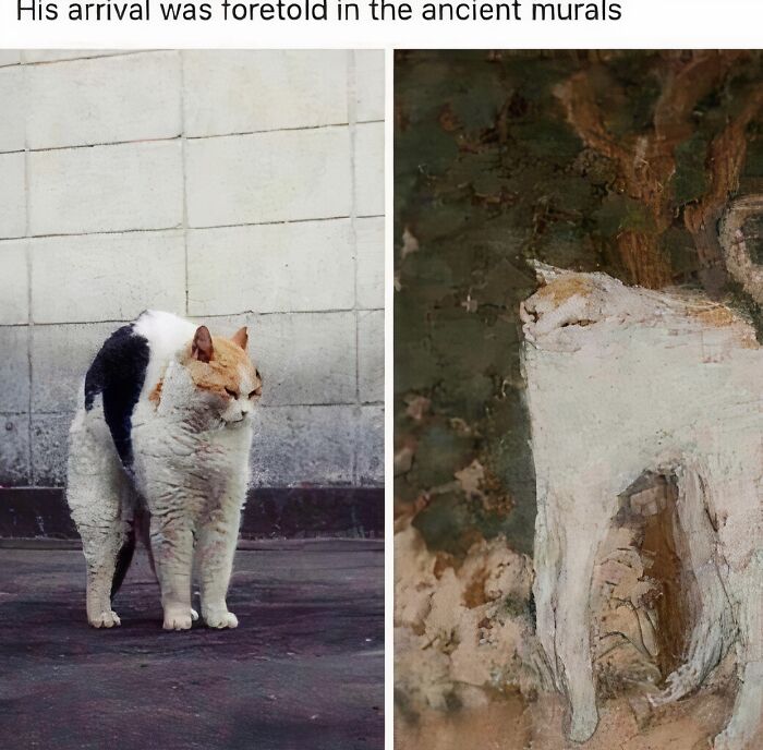 “Medieval Cats”: 57 Photos Proving That Humans Have Always Been Obsessed With Cats