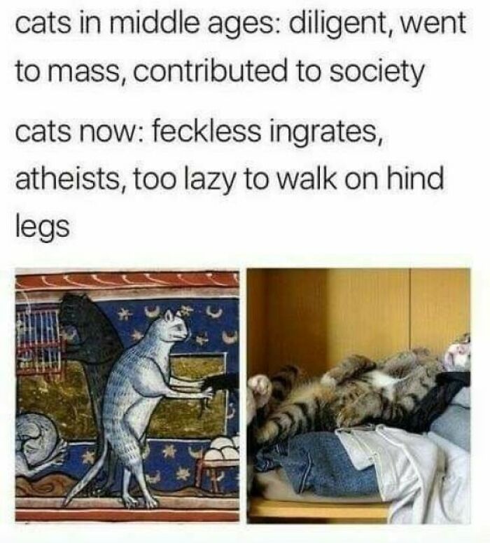 “Medieval Cats”: 57 Photos Proving That Humans Have Always Been Obsessed With Cats