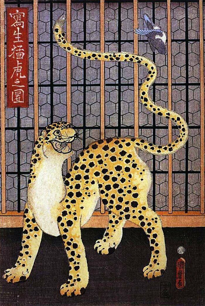 “Medieval Cats”: 57 Photos Proving That Humans Have Always Been Obsessed With Cats