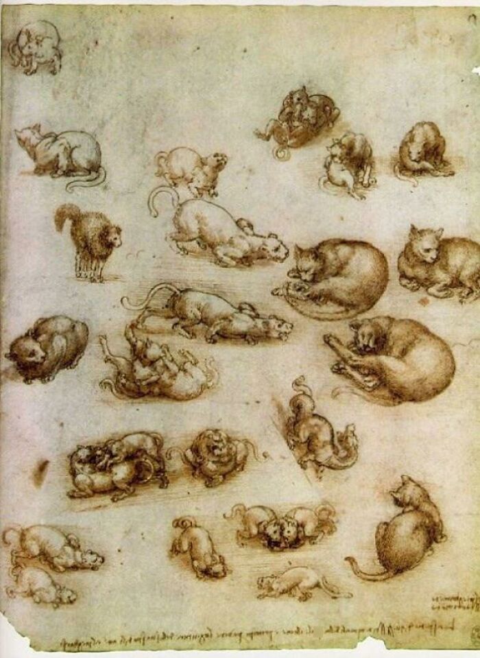 “Medieval Cats”: 57 Photos Proving That Humans Have Always Been Obsessed With Cats