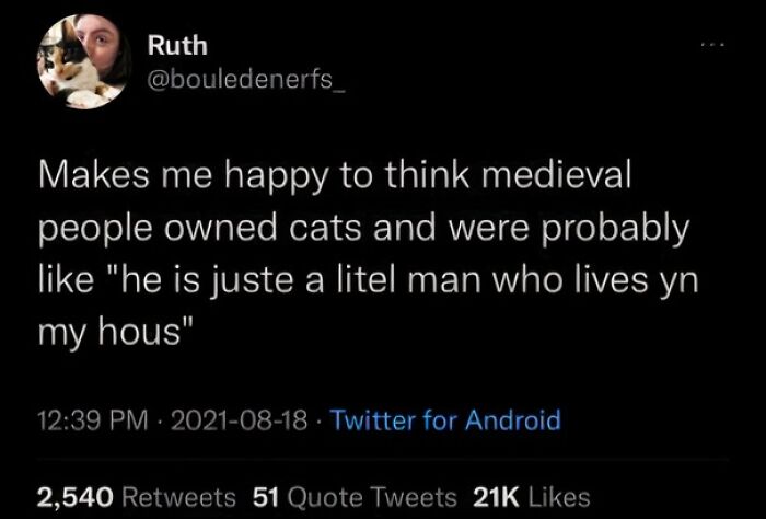 “Medieval Cats”: 57 Photos Proving That Humans Have Always Been Obsessed With Cats