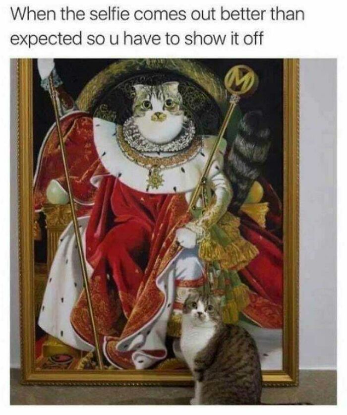 “Medieval Cats”: 57 Photos Proving That Humans Have Always Been Obsessed With Cats