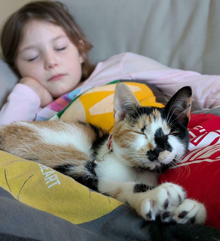 89 Adorable Adopted Animals Who Rescued Their Humans This Month (September Edition)