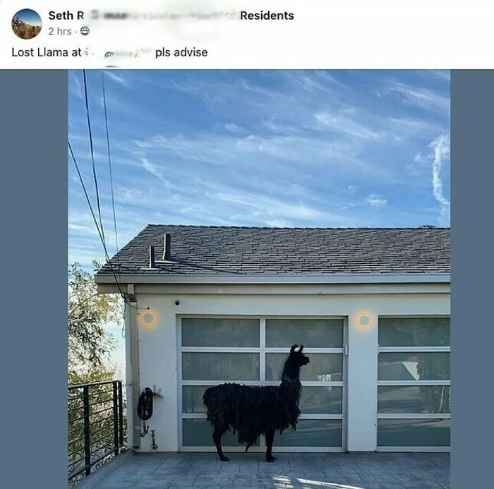 42 Screenshots And Pics That Make People Want To Live In The Middle Of Nowhere With No Neighbors (New Pics)