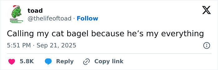 It’s Time For The Funniest Tweets Of September, Here Are 96 That Made People Laugh The Most