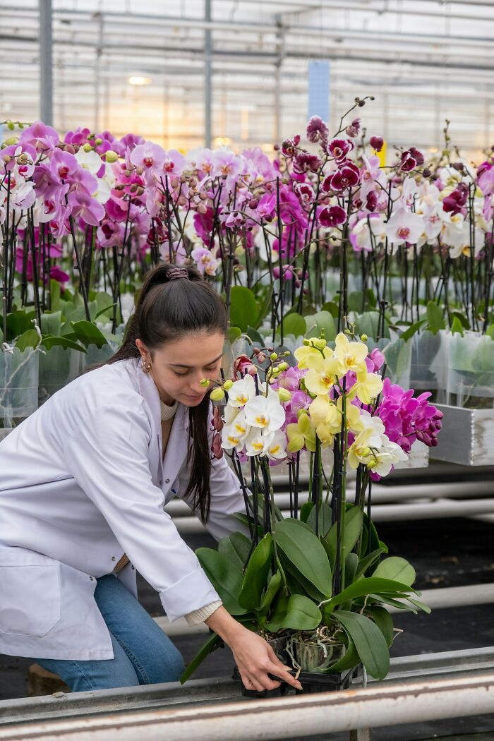35 Jobs That Exist Solely For The Sake Of Ultra-Wealthy People, According To These Netizens