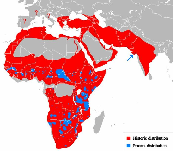 89 Maps That Have No Business Being This Bad Yet Funny At The Same Time (New Pics)