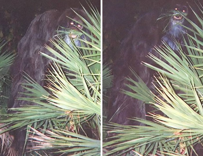 27 Photos That Seem Normal Until You Learn The Mysteries Behind Them