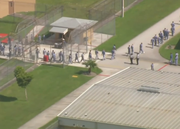 Hundreds Of Detainees Reportedly Missing From ICE Records After Being Sent To ‘Alligator Alcatraz’