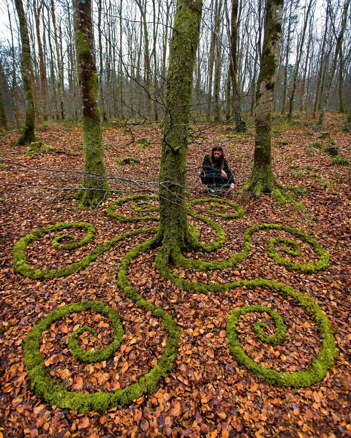 Unnaturally Natural Patterns: Artist Arranges Stones And Other Materials In Stunning Land Art (47 New Pics)