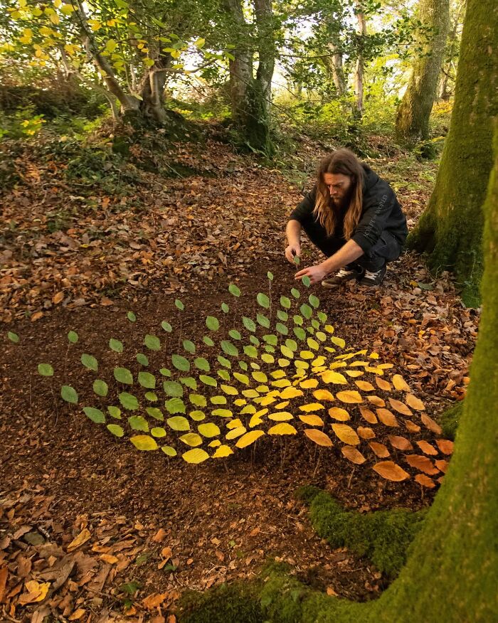 Unnaturally Natural Patterns: Artist Arranges Stones And Other Materials In Stunning Land Art (47 New Pics)