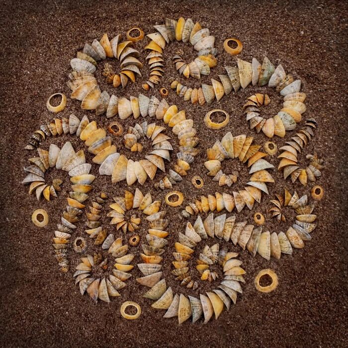 Unnaturally Natural Patterns: Artist Arranges Stones And Other Materials In Stunning Land Art (47 New Pics)