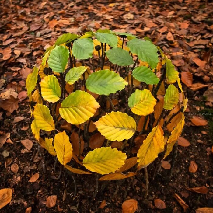 Unnaturally Natural Patterns: Artist Arranges Stones And Other Materials In Stunning Land Art (47 New Pics)