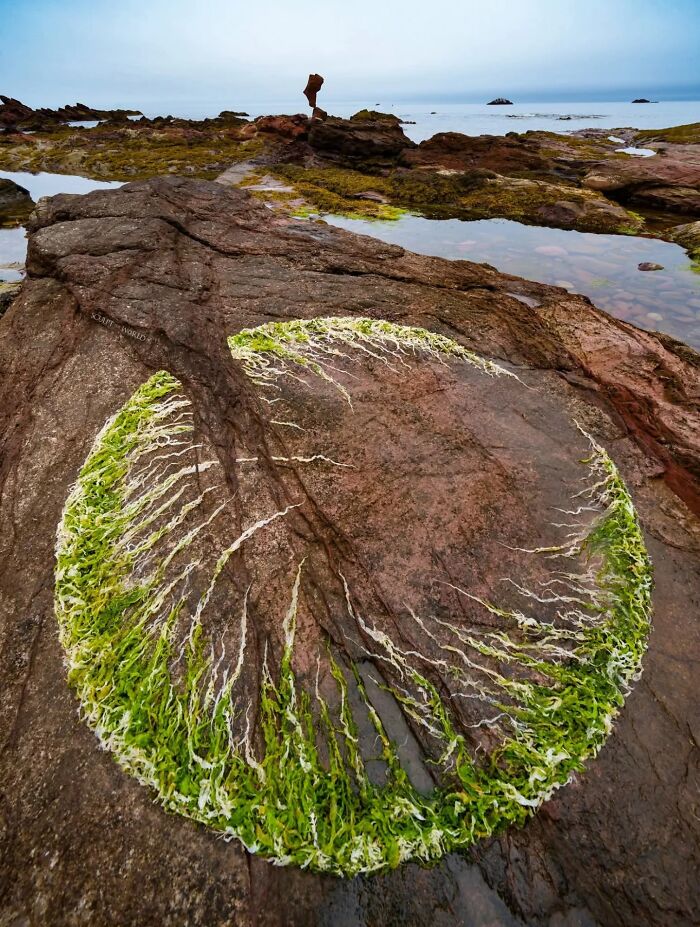 Unnaturally Natural Patterns: Artist Arranges Stones And Other Materials In Stunning Land Art (47 New Pics)