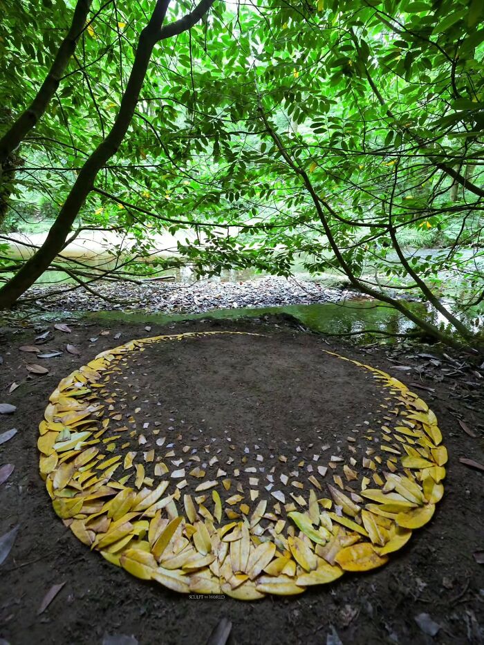 Unnaturally Natural Patterns: Artist Arranges Stones And Other Materials In Stunning Land Art (47 New Pics)