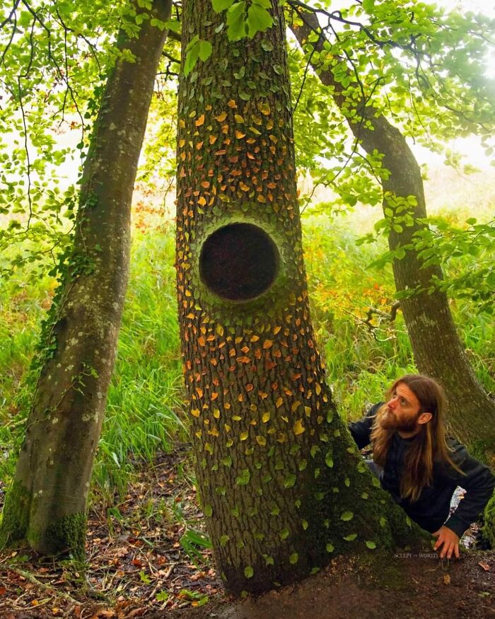 Unnaturally Natural Patterns: Artist Arranges Stones And Other Materials In Stunning Land Art (47 New Pics)