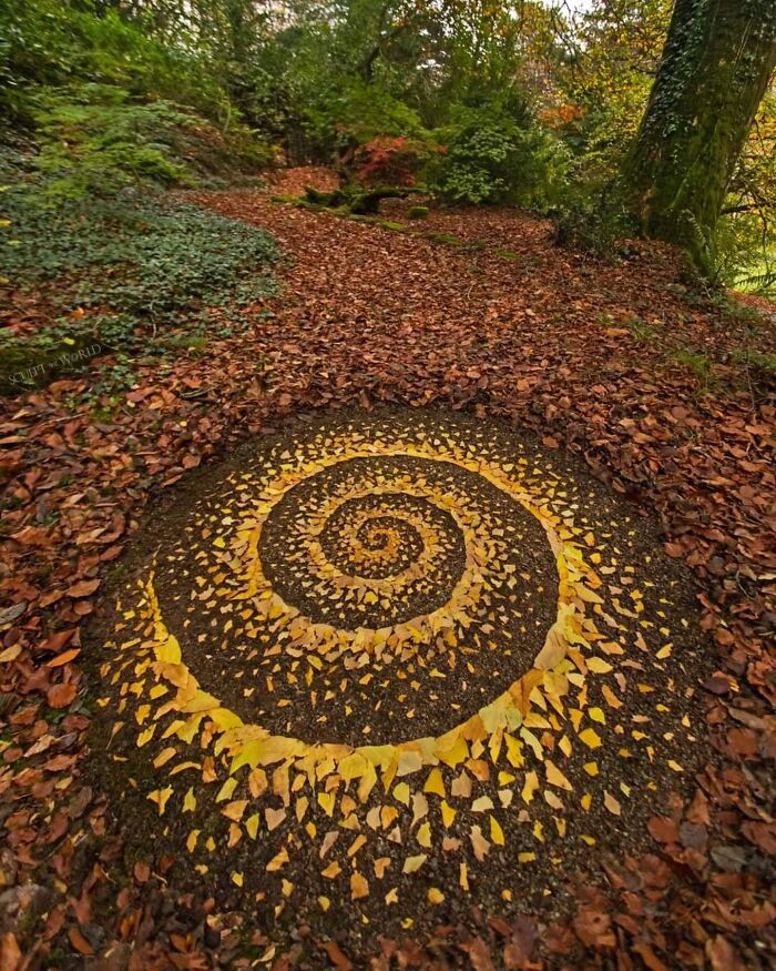 Unnaturally Natural Patterns: Artist Arranges Stones And Other Materials In Stunning Land Art (47 New Pics)