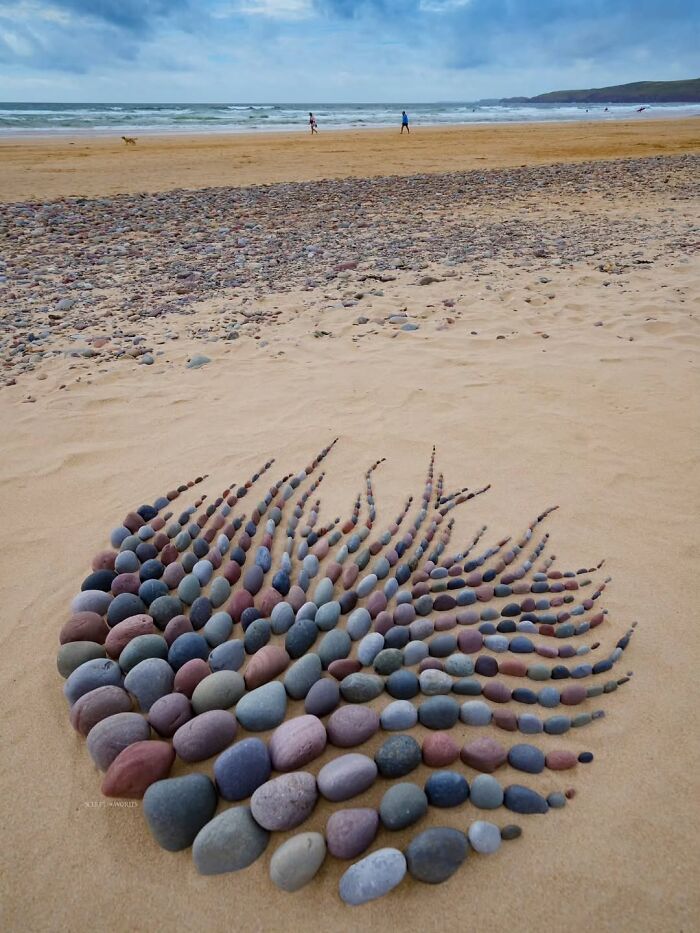 Unnaturally Natural Patterns: Artist Arranges Stones And Other Materials In Stunning Land Art (47 New Pics)