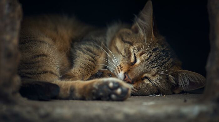10 Small Daily Life Moments That Bring Me Joy