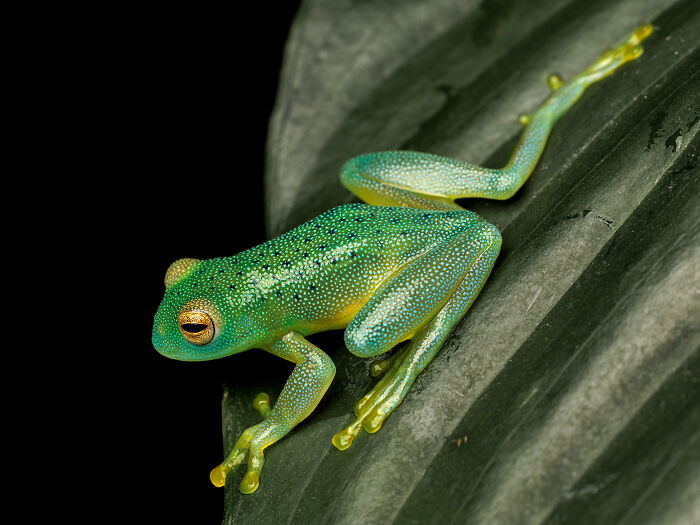 23 Amazing Shots Featuring Various Species Of Animals By This Photographer