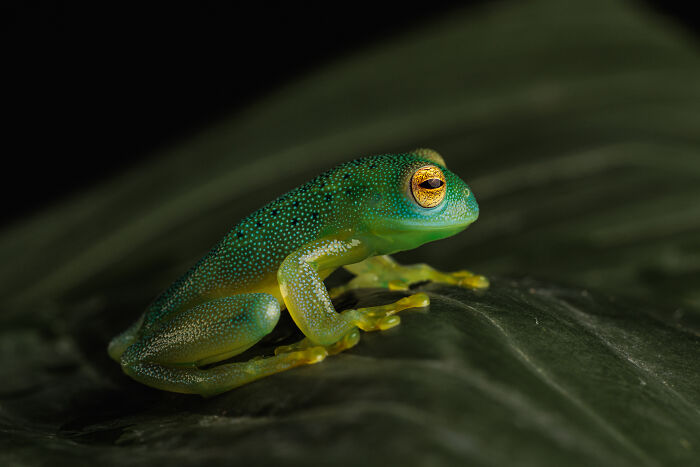 23 Amazing Shots Featuring Various Species Of Animals By This Photographer