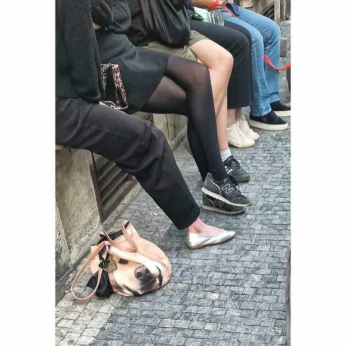 30 Funny Coincidences And Clever Street Photography Shots By Giancarla Pancera