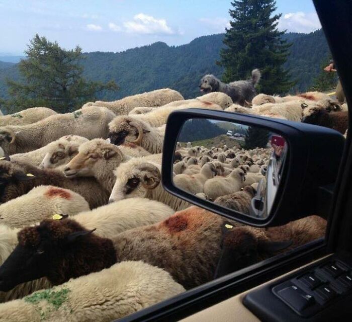 85 Pics And Memes Only People Raised In Eastern Europe Can Truly Comprehend