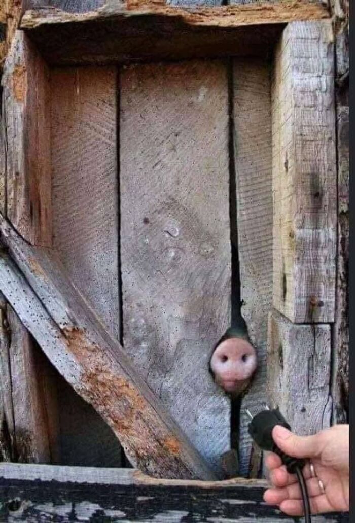 85 Pics And Memes Only People Raised In Eastern Europe Can Truly Comprehend
