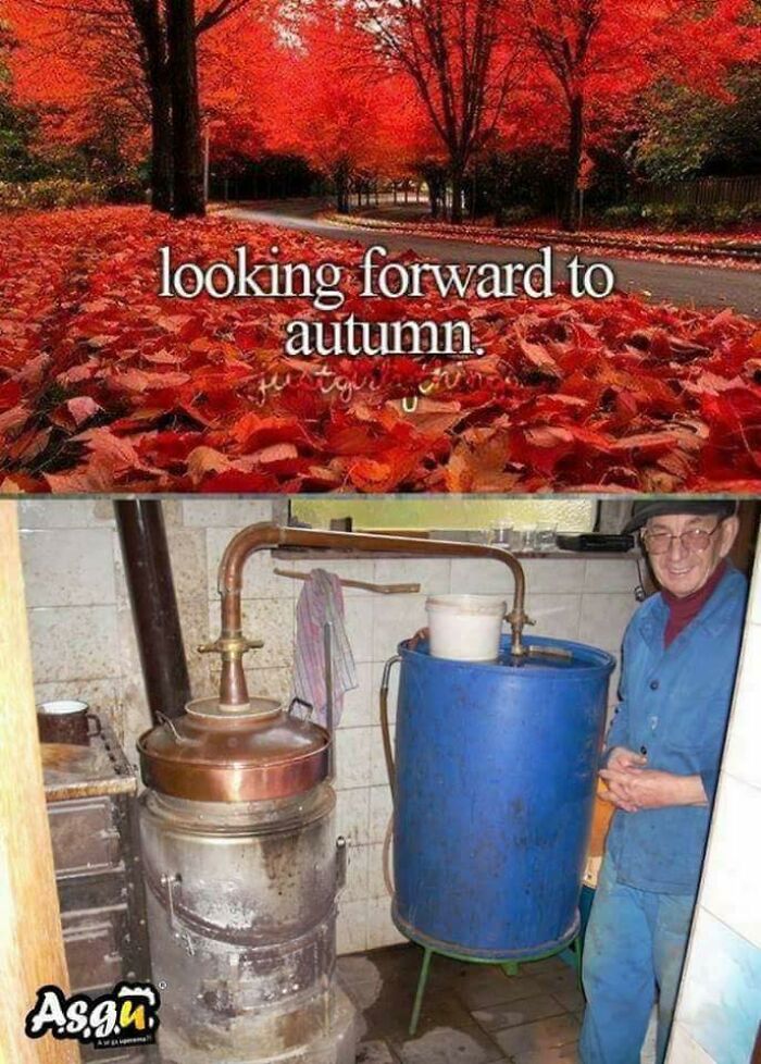 85 Pics And Memes Only People Raised In Eastern Europe Can Truly Comprehend