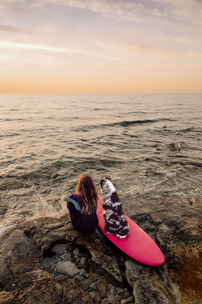 44 Award-Winning Photos That Show Just How Photogenic Pets Can Be