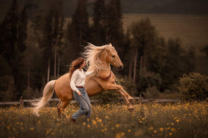 44 Award-Winning Photos That Show Just How Photogenic Pets Can Be