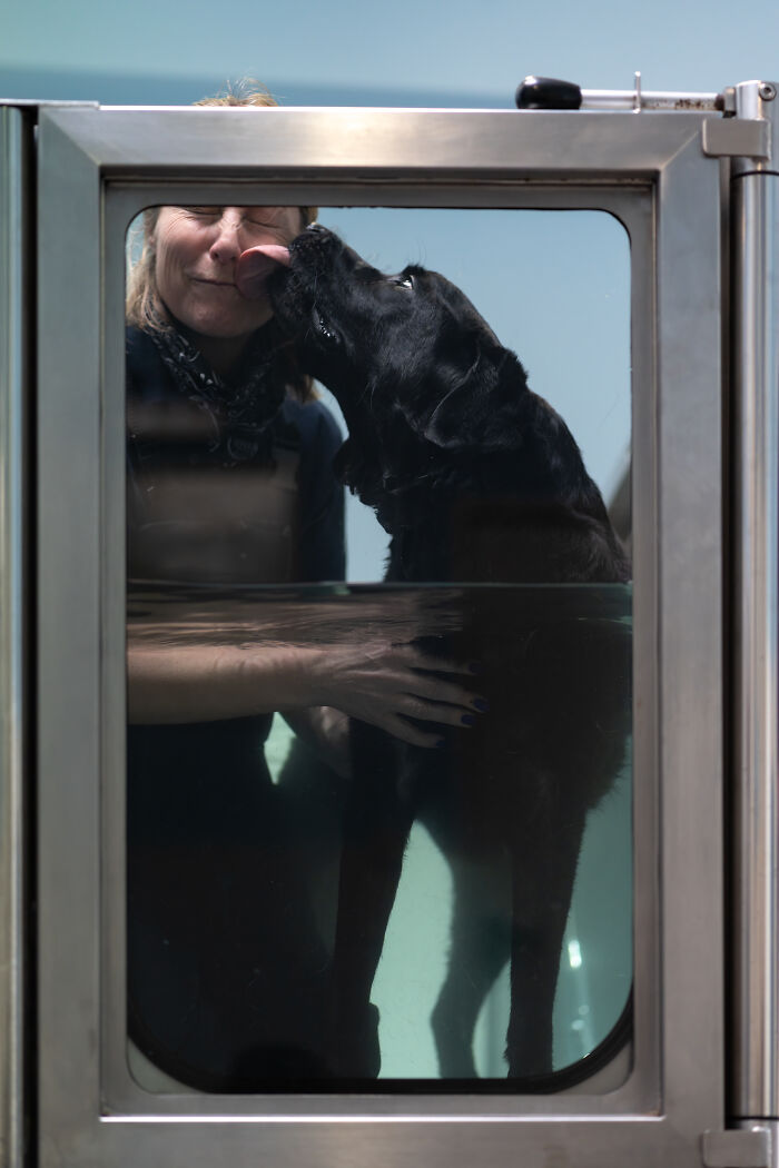 44 Award-Winning Photos That Show Just How Photogenic Pets Can Be
