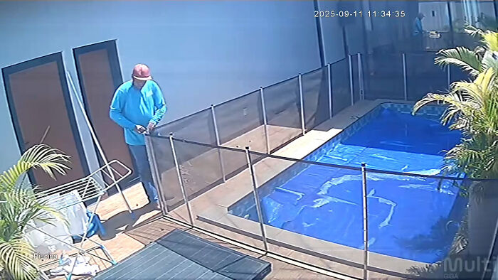 Man’s Split-Second Decision Saves Blind Dog From Drowning In Pool