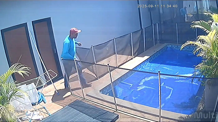 Man’s Split-Second Decision Saves Blind Dog From Drowning In Pool