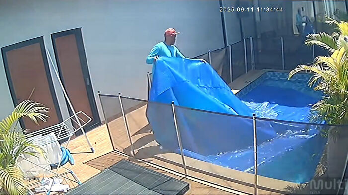 Man’s Split-Second Decision Saves Blind Dog From Drowning In Pool