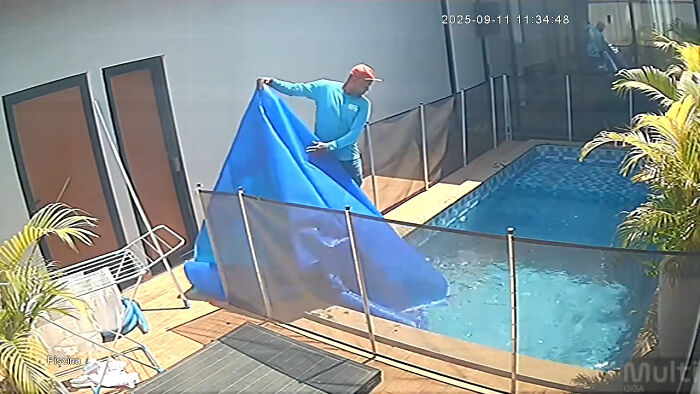 Man’s Split-Second Decision Saves Blind Dog From Drowning In Pool