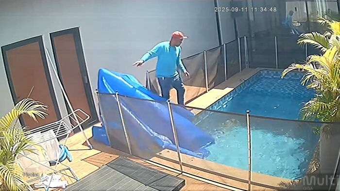 Man’s Split-Second Decision Saves Blind Dog From Drowning In Pool