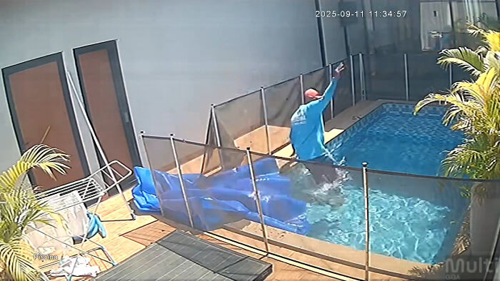Man’s Split-Second Decision Saves Blind Dog From Drowning In Pool