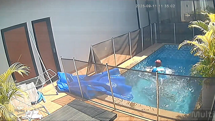 Man’s Split-Second Decision Saves Blind Dog From Drowning In Pool