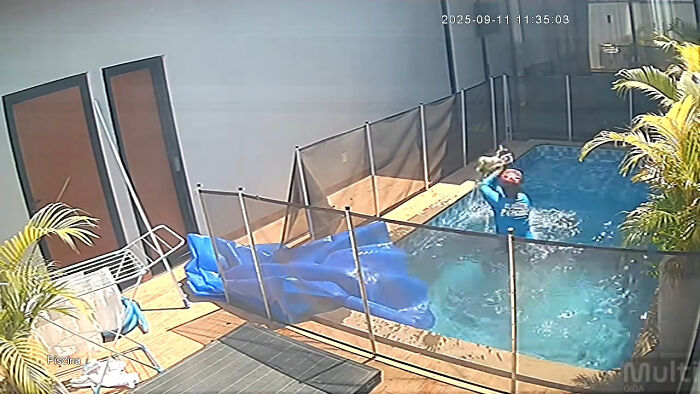 Man’s Split-Second Decision Saves Blind Dog From Drowning In Pool