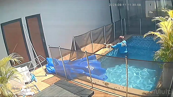 Man’s Split-Second Decision Saves Blind Dog From Drowning In Pool