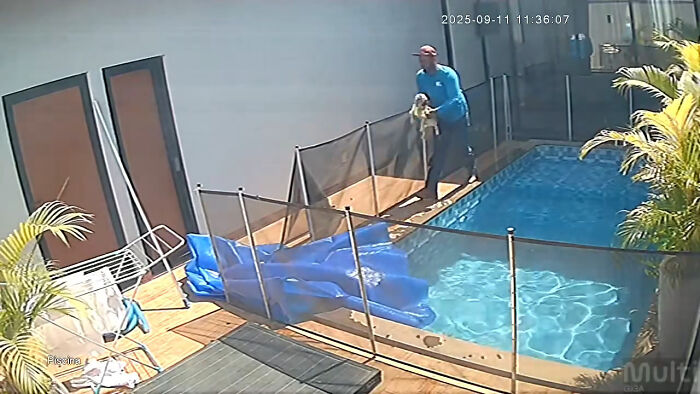 Man’s Split-Second Decision Saves Blind Dog From Drowning In Pool