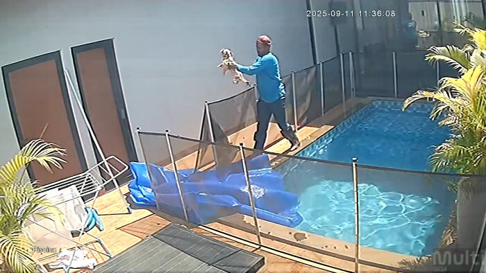 Man’s Split-Second Decision Saves Blind Dog From Drowning In Pool