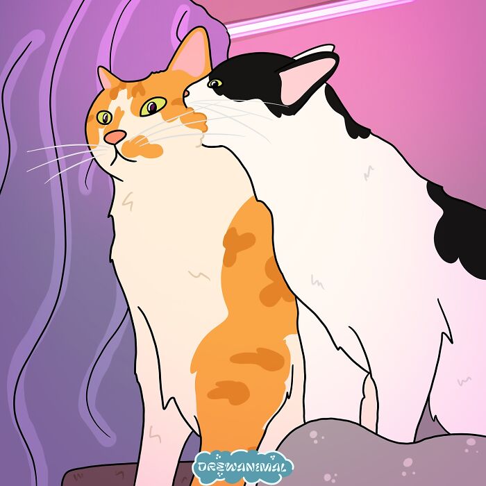 This Artist Turns Viral Cat Moments Into Funny Art (65 Pics)