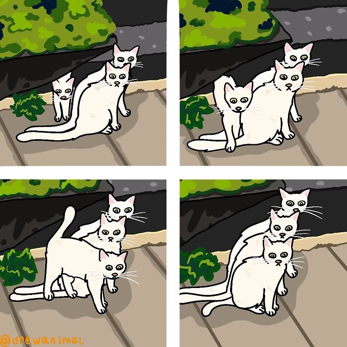 This Artist Turns Viral Cat Moments Into Funny Art (65 Pics)