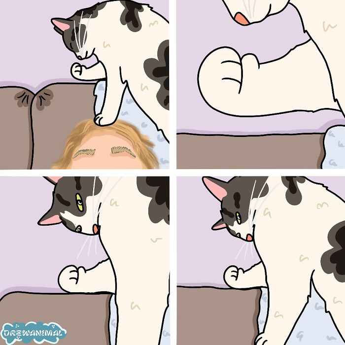 This Artist Turns Viral Cat Moments Into Funny Art (65 Pics)